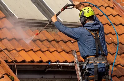 Démoussage et hydrofuge de toiture à Freissinières